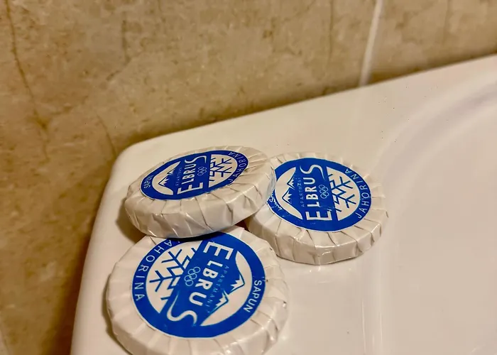 Kuca Elbrus 公寓 *